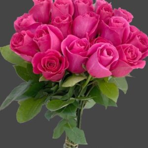 Kytica - Cyklamenové ruže